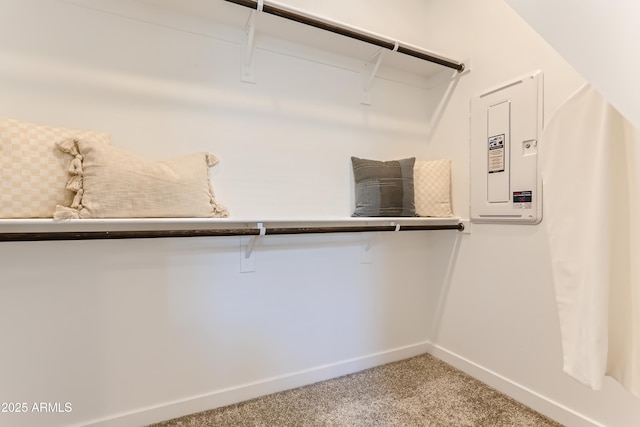 spacious closet featuring carpet and electric panel
