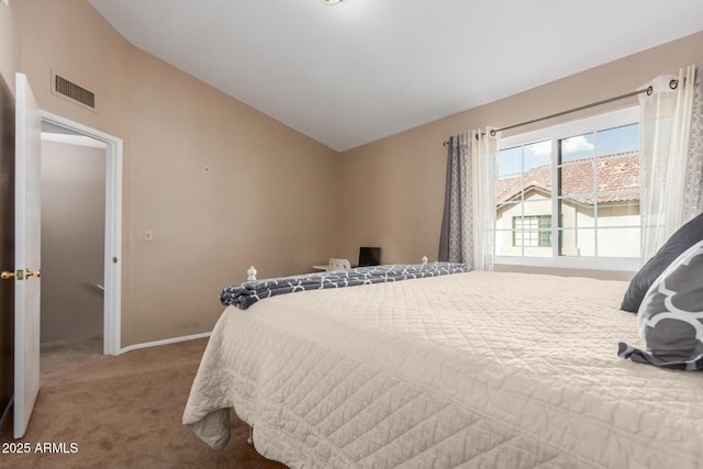 2941 N Oregon St Unit 12, Chandler, AZ 85225 - bedroom with lofted ceiling, carpet, and baseboards