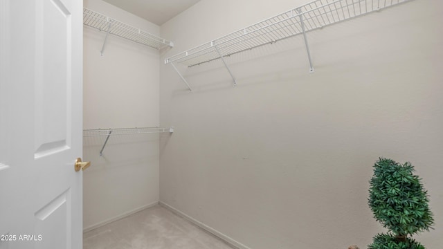 15252 N 100th St Unit 1164, Scottsdale, AZ 85260 - walk in closet featuring carpet