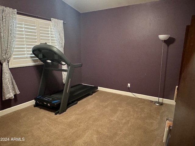 workout room featuring carpet floors