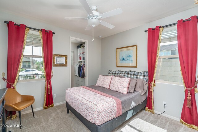 carpeted bedroom featuring ceiling fan, a walk in closet, and a closet