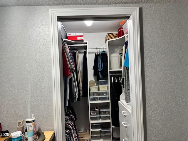 view of spacious closet