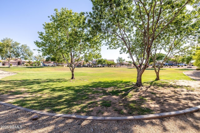 3713 W Nancy Ln, Phoenix, AZ 85041 - view of grassy yard