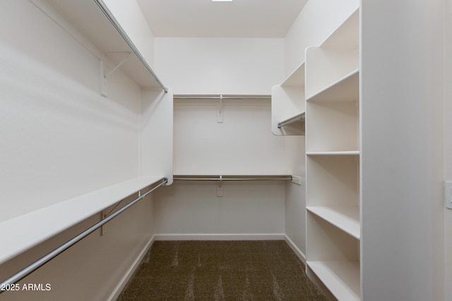3285 Big Sky Dr, Wickenburg, AZ 85390 - spacious closet featuring carpet