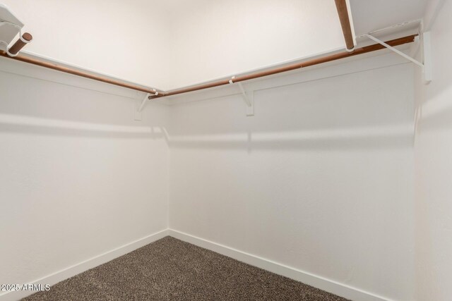 8725 E Via Del Arbor, Scottsdale, AZ 85258 - spacious closet with dark colored carpet