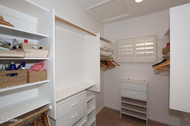 32764 N 68th Pl, Scottsdale, AZ 85266 - spacious closet featuring attic access and carpet flooring