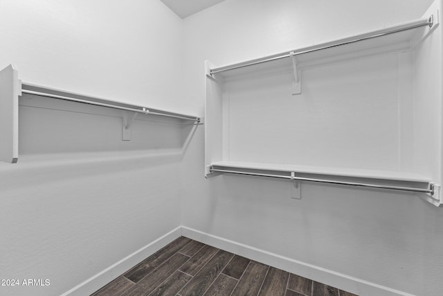 spacious closet featuring dark wood-type flooring