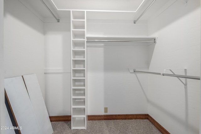 walk in closet featuring carpet flooring