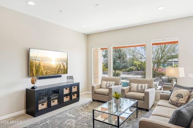 living room featuring light hardwood / wood-style flooring