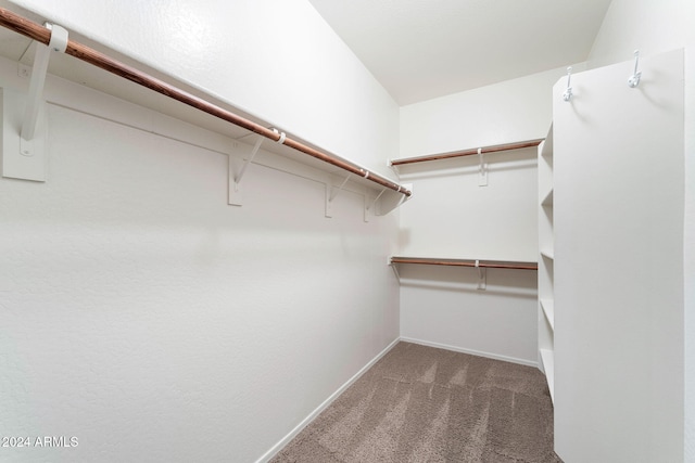 spacious closet featuring dark carpet