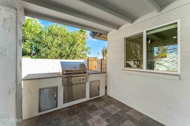 view of patio / terrace with area for grilling and grilling area