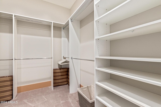 walk in closet featuring carpet floors