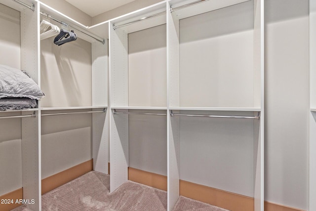 spacious closet featuring carpet floors