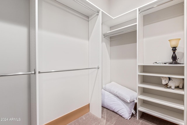 spacious closet featuring carpet flooring