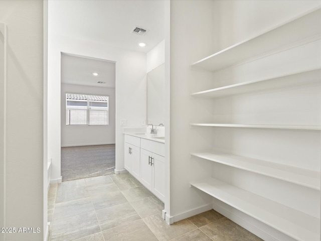 bathroom with vanity