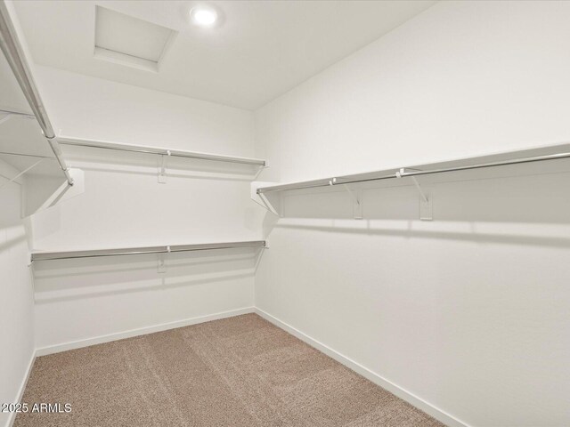 spacious closet with light colored carpet