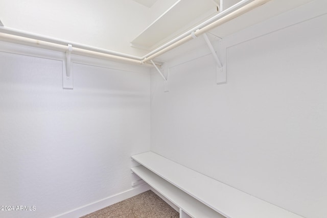 spacious closet featuring carpet