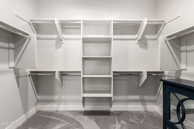 3938 E Appaloosa Rd, Gilbert, AZ 85296 - walk in closet featuring carpet flooring