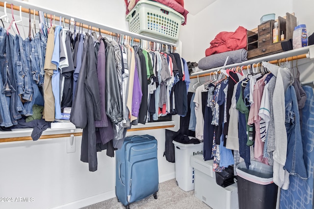 spacious closet with carpet