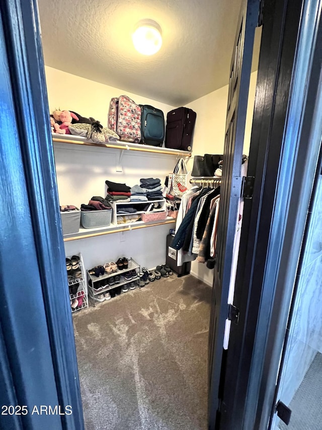 walk in closet featuring carpet flooring