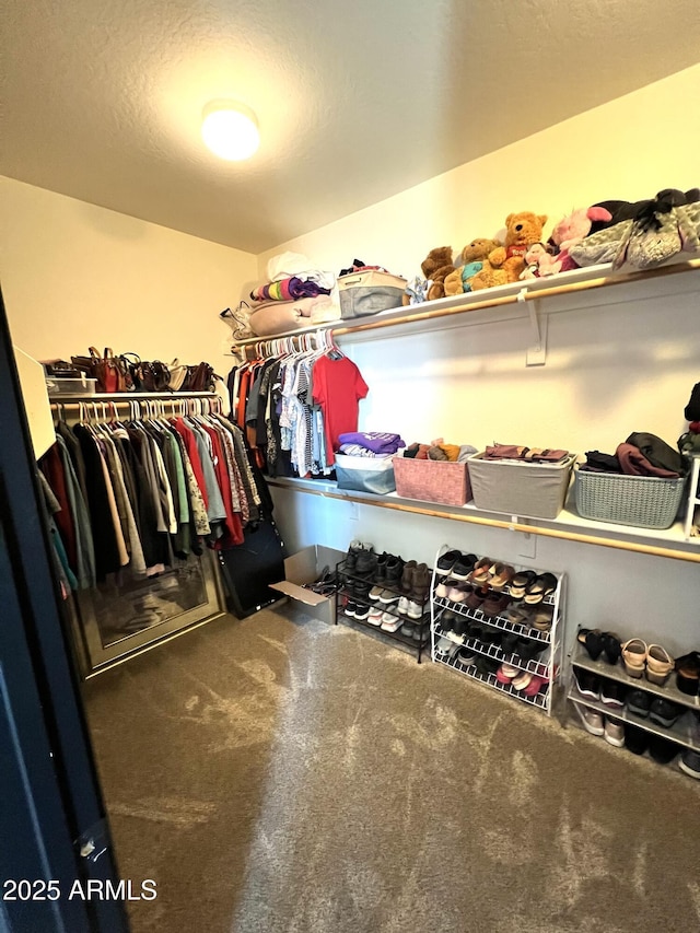 view of walk in closet