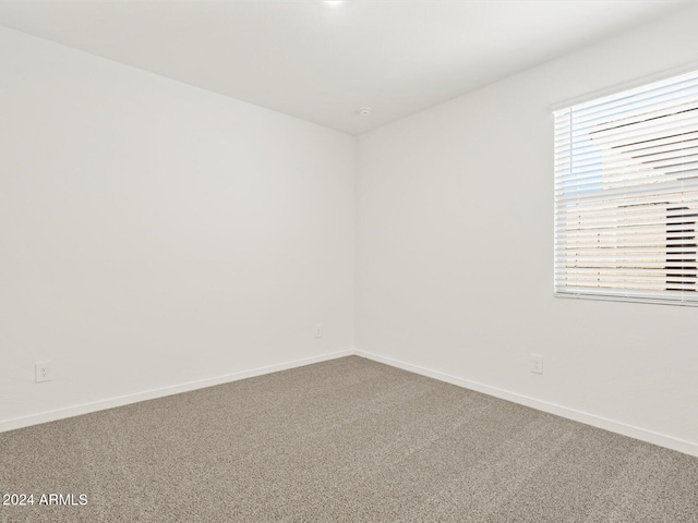 spare room with carpet floors and a healthy amount of sunlight