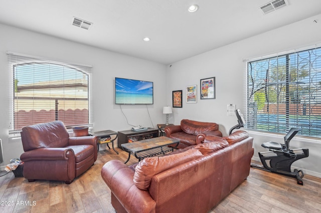 living room featuring light hardwood / wood-style flooring