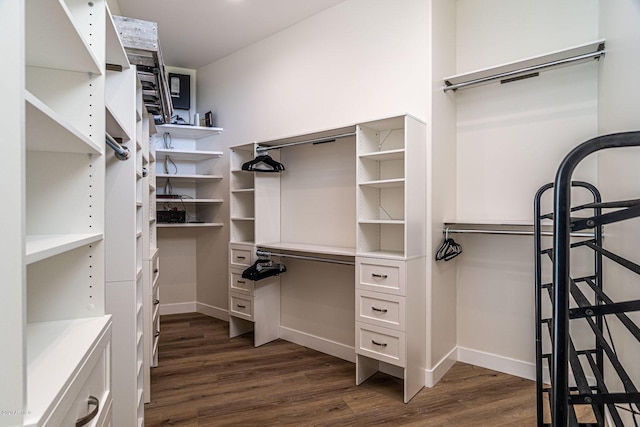 walk in closet featuring dark wood-style flooring