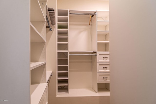 view of spacious closet