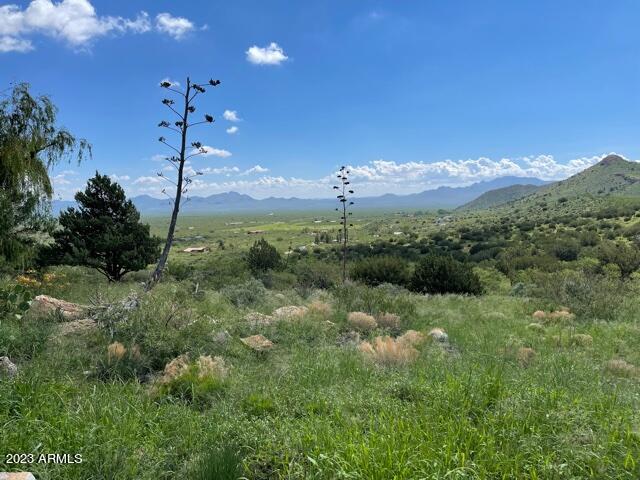 2411 S Wandervogel Way, Portal, AZ 85632 - view of mountain backdrop
