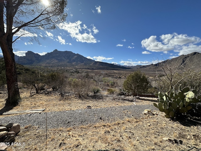 2411 S Wandervogel Way, Portal, AZ 85632 - view of mountain backdrop