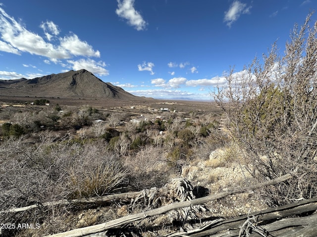 2411 S Wandervogel Way, Portal, AZ 85632 - view of mountain backdrop