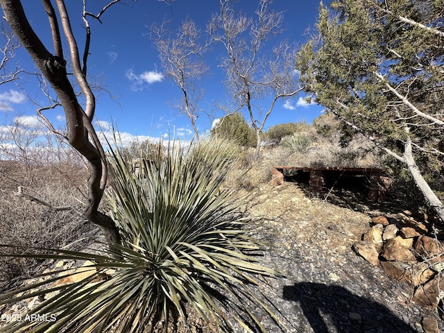 2411 S Wandervogel Way, Portal, AZ 85632 - exterior view