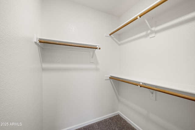 spacious closet featuring carpet floors