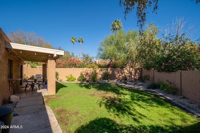 view of yard with a patio area