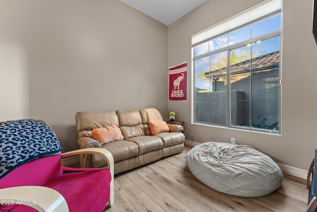 living room with light hardwood / wood-style flooring