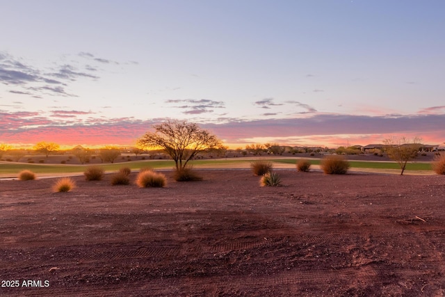 view of nature at dusk