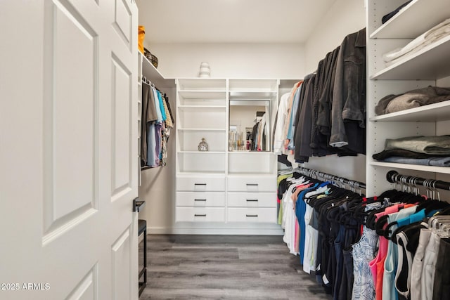 spacious closet with dark wood-type flooring