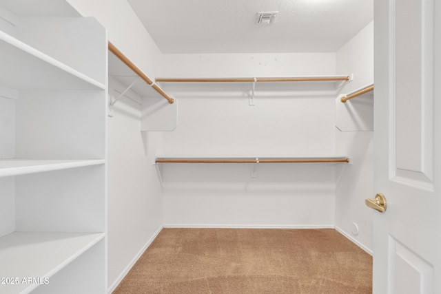 walk in closet with light colored carpet