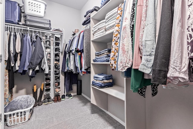 spacious closet with carpet