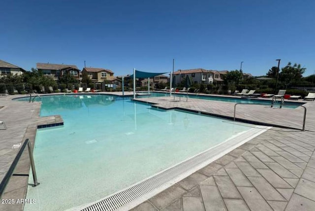 1081 E Armstrong Way, Chandler, AZ 85286 - community pool with a residential view