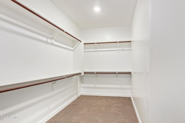 1081 E Armstrong Way, Chandler, AZ 85286 - spacious closet with carpet