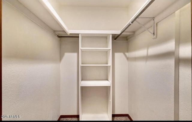 view of walk in closet