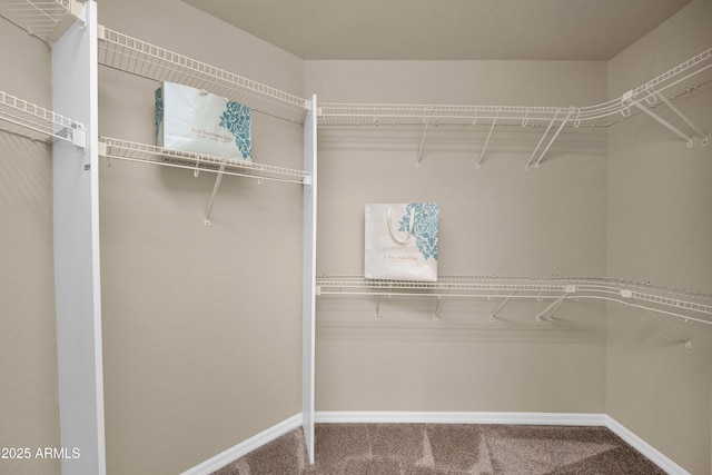 walk in closet featuring carpet flooring