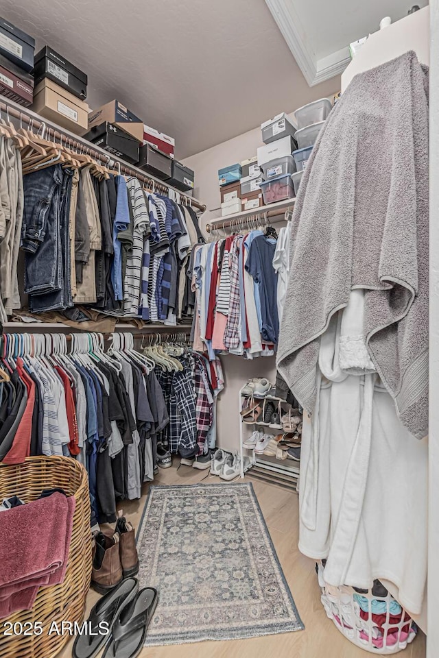 3059 E Tyson Ct, Gilbert, AZ 85295 - view of spacious closet