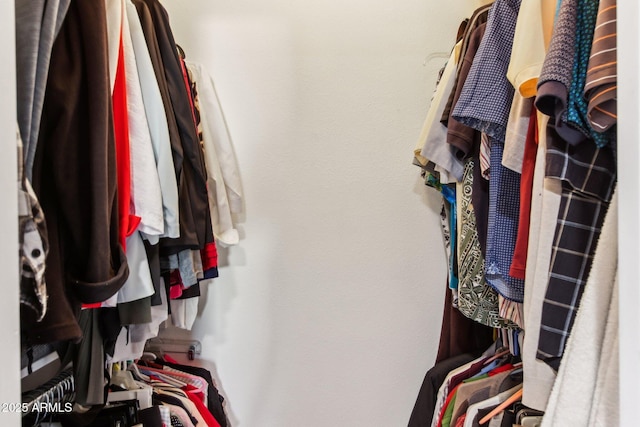 view of walk in closet