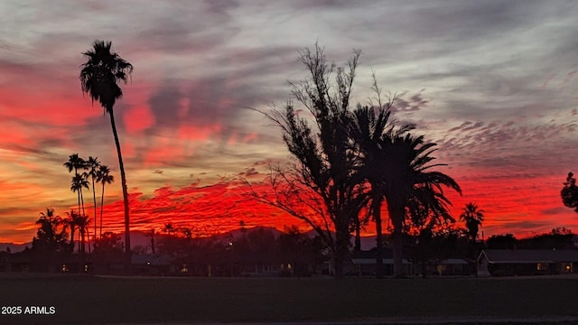 view of nature at dusk