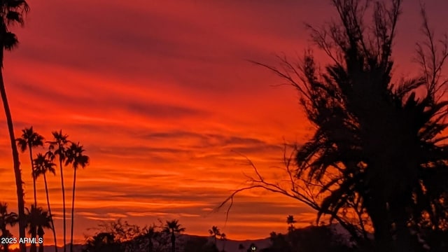 view of nature at dusk