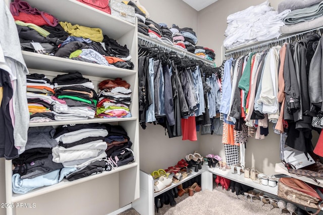 walk in closet featuring carpet