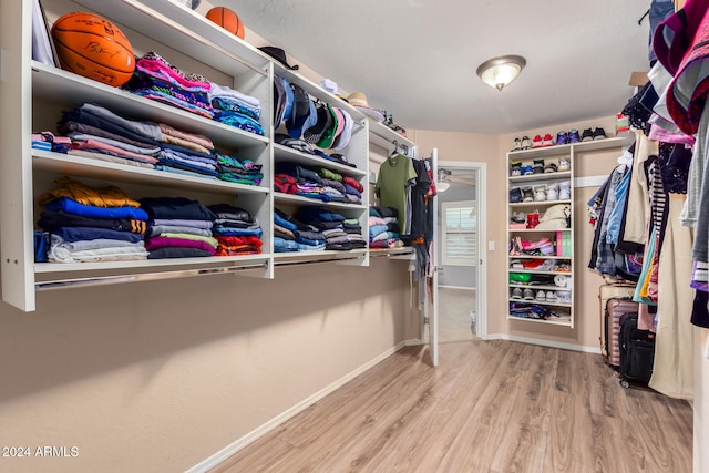 spacious closet featuring wood-type flooring